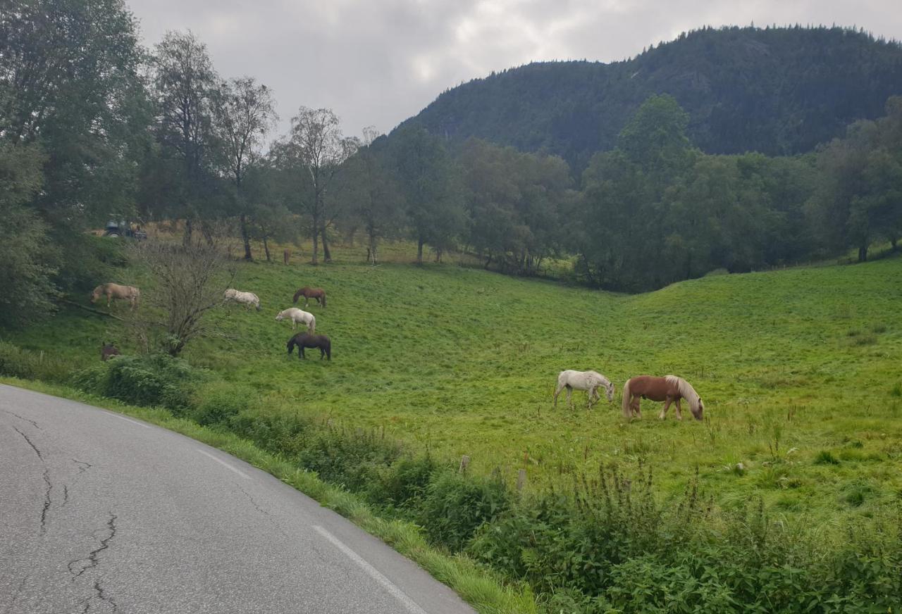 New And Exclusive Cottage In Voss With A Great View Skulestadmo Eksteriør bilde