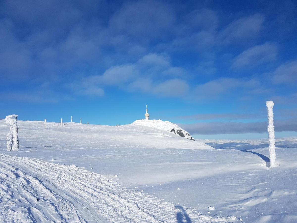 New And Exclusive Cottage In Voss With A Great View Skulestadmo Eksteriør bilde
